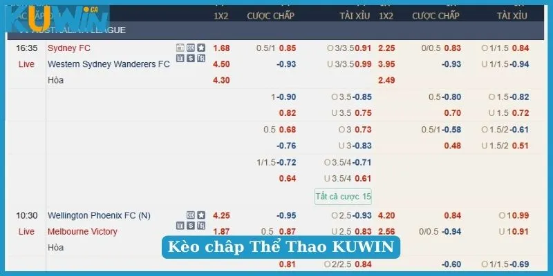 Cược chấp trong Thể Thao KUWIN lợi nhuận cao
