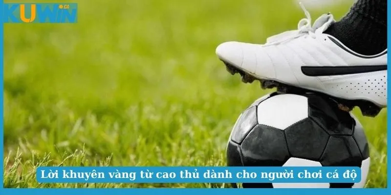 Hướng dẫn cách chơi cá độ bóng đá online
