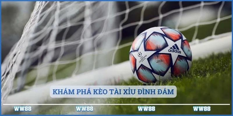 Kèo Nhà Cái 188 Những Thông Tin Cần Phải Nắm Rõ 3 Khám phá kèo tài xỉu đình đám